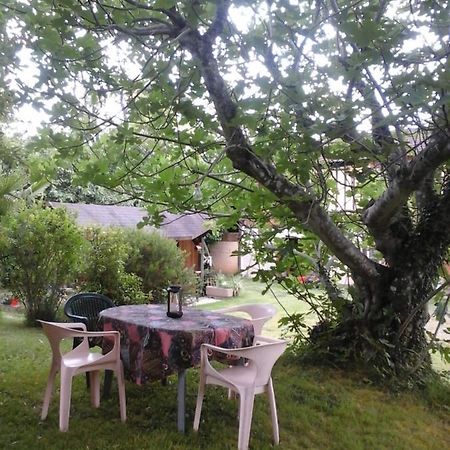Gite L'Appel De La Foret Betplan Exteriér fotografie