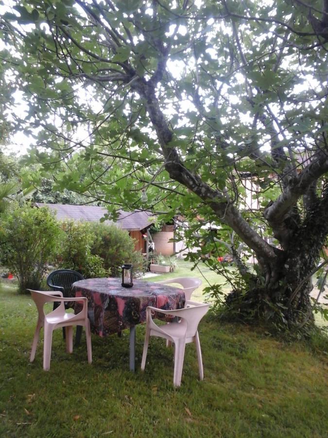Gite L'Appel De La Foret Betplan Exteriér fotografie