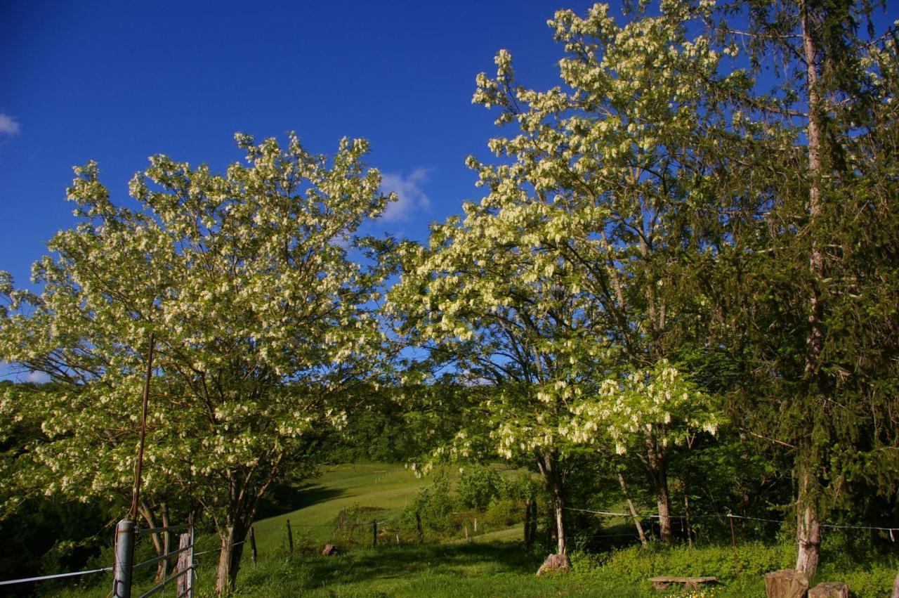 Gite L'Appel De La Foret Betplan Exteriér fotografie