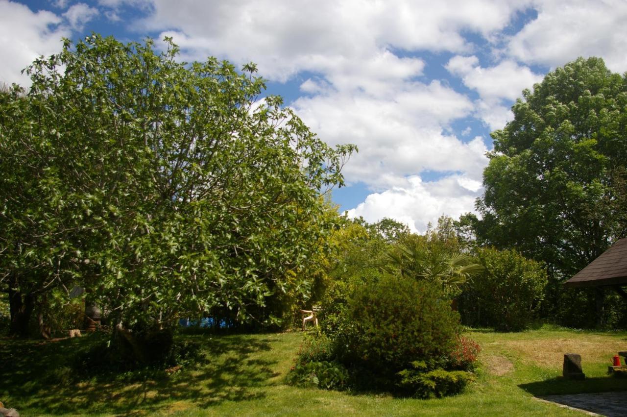 Gite L'Appel De La Foret Betplan Exteriér fotografie